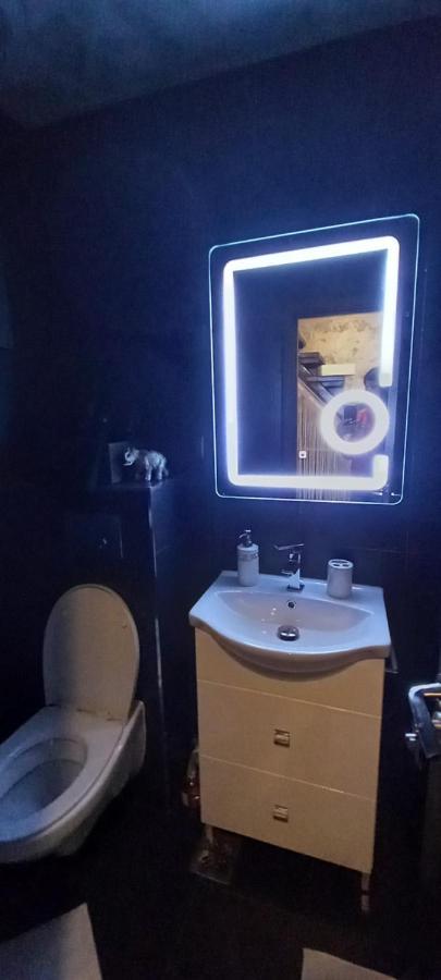 Mgn Original Apartament シビウ エクステリア 写真